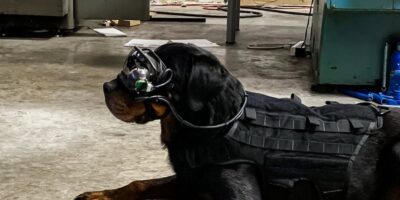Editor’s Blog – Armed forces explore AR for animals